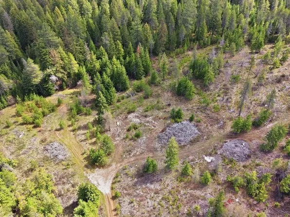 8300 E Lodge Pole Ln #49304.9061, Chattaroy, WA 99003