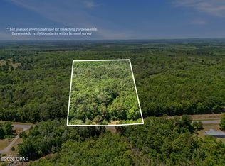 0 Pate Pond Rd, Caryville, FL 32427