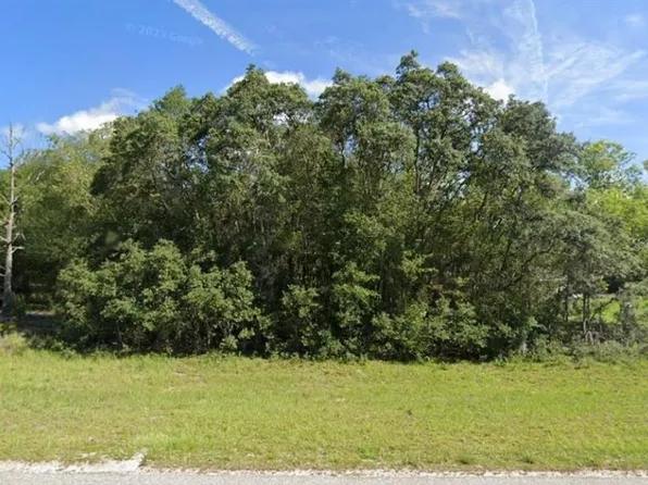 0 Malauka Rd #40, Ocklawaha, FL 32179