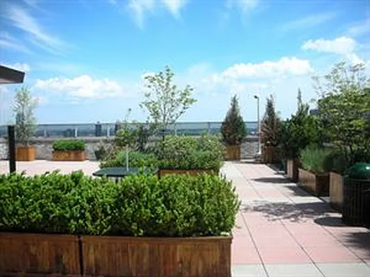 Rented by Douglas Elliman | media 20