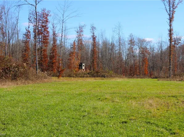 Hoffman Norton Rd, West Farmington, OH 44491