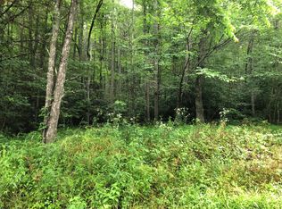 Tom Bunton Ln, Butler, TN 37640