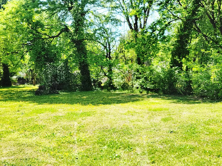 2022 Martin Luther King Jr Dr — Photo 11