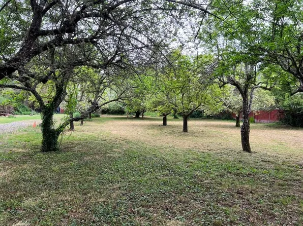 236 & 240 Orchard Way, Myers Flat, CA 95554
