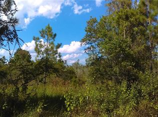 Water Rd, Clermont, FL 34714