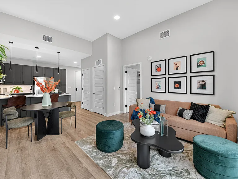 Apartment living area