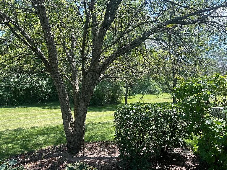 Blue Ridge Dr — Photo 16