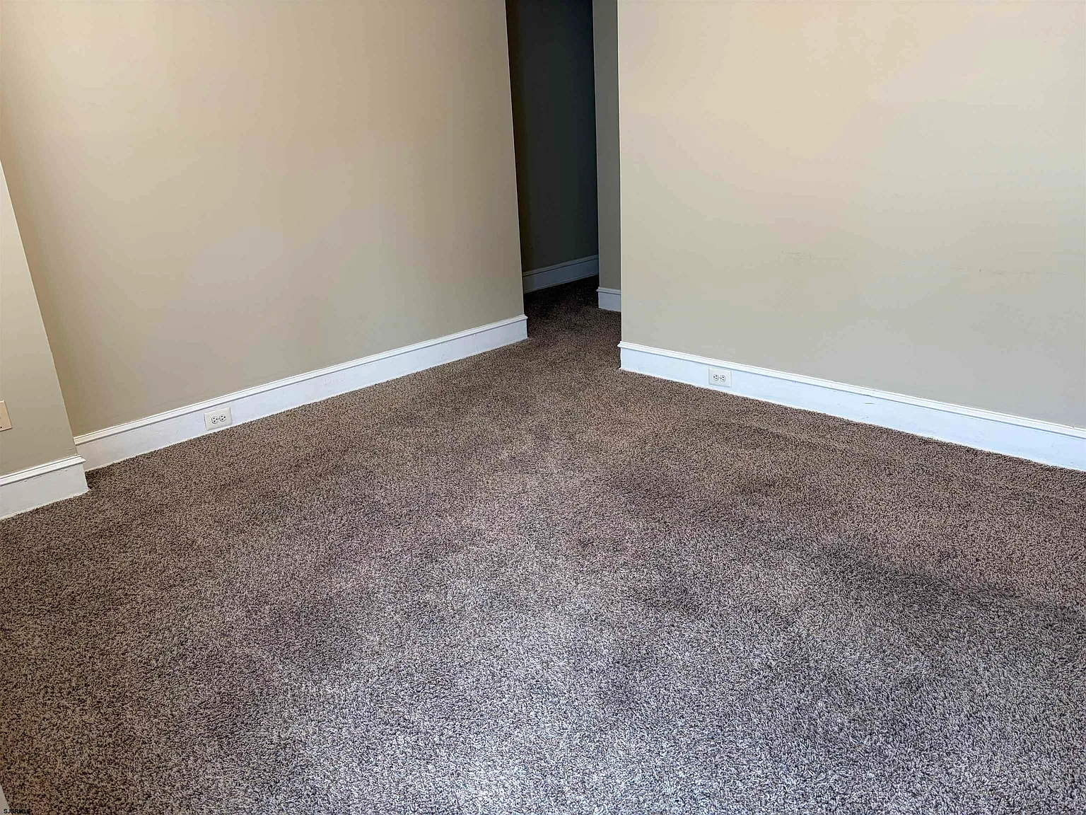 2 bed, 1.0 bath, $2,000 — Photo 3