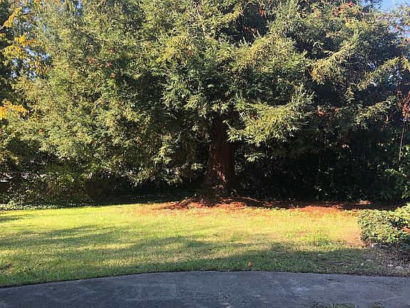 Your yard