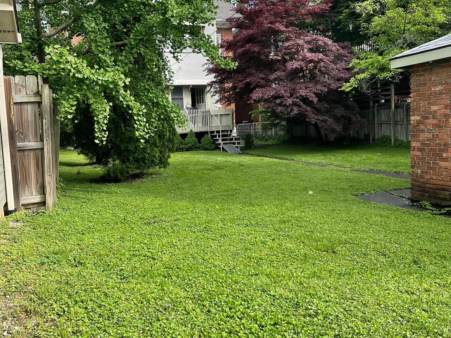 3 bed, 1500 sqft, $1,300 — Photo 3