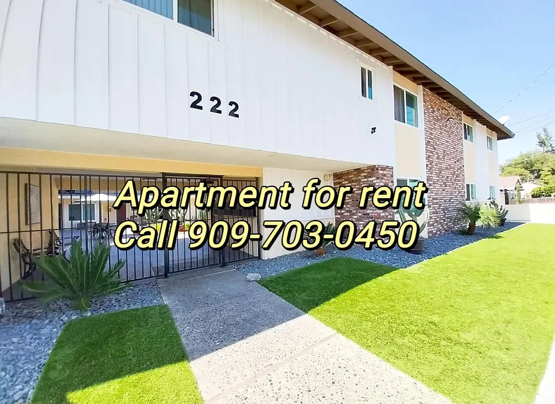 1 bed, $1,795 — Photo 3