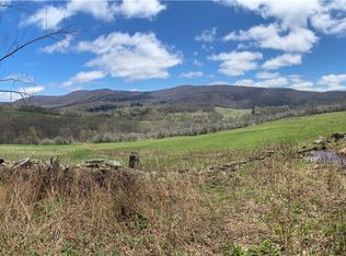 535 Babbling Brook Rd, Bovina Center, NY 13740