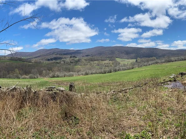 535 Babbling Brook Rd, Bovina Center, NY 13740