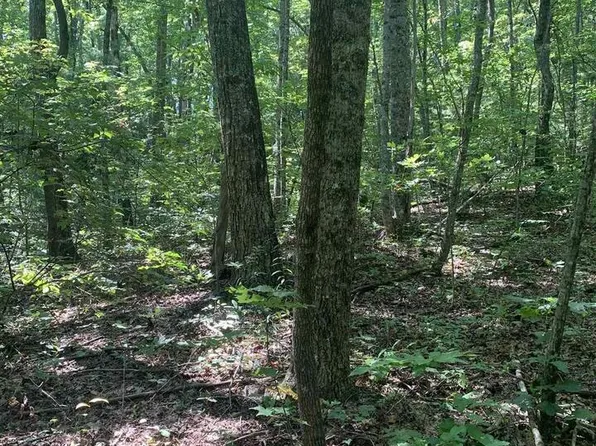 67 N Woods Rd #3, Clayton, GA 30525