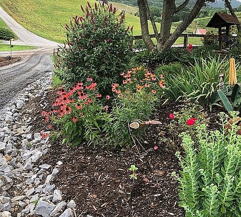 perennial gardens