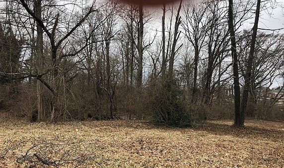 5th image of 9 Whitehouse Dr