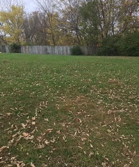 Yard area where dogs can be walked