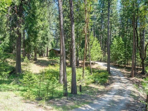 26149 Buckhorn Ln, Pioneer, CA 95666