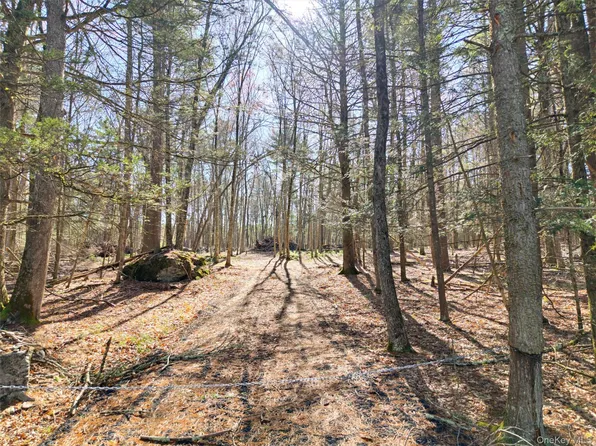 Crawford Road, Eldred, NY 12528