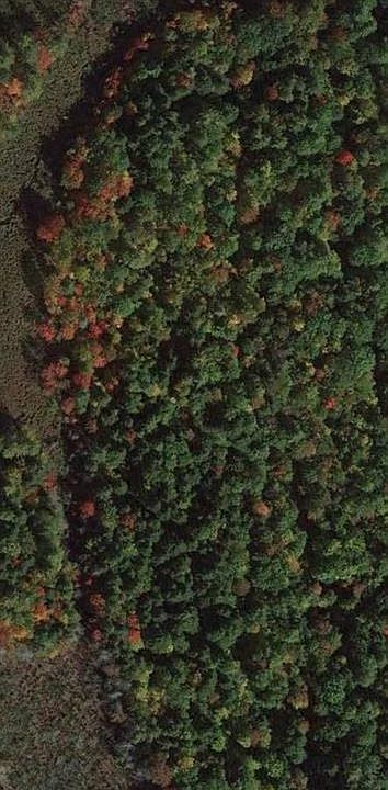 1st image of 2.8 acres Albert Drive