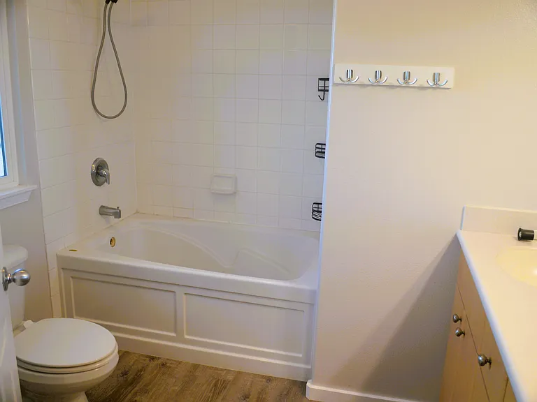 Master Bathroom With Tub