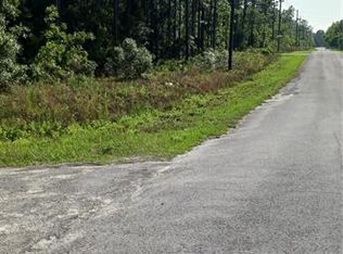 SW Tree Top Rd LOT 1, Dunnellon, FL 34431