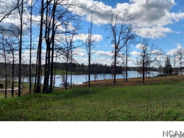 Lake Catoma 35055 Real Estate 4 Homes For Sale Zillow