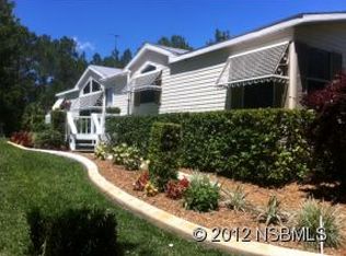 875 Tater Rd, New Smyrna Beach, FL 32168