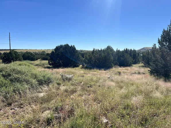 22 Crest Ln, Concho, AZ 85924