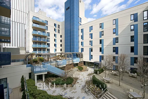 Rented by BLU Real Estate | media 22