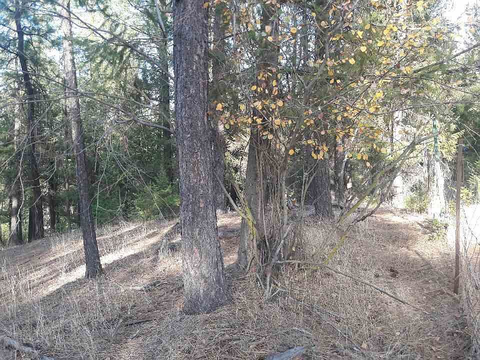 2nd image of 11628 N Kathy Dr
