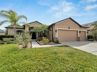 302 Star Shell Dr, Apollo Beach, FL 33572