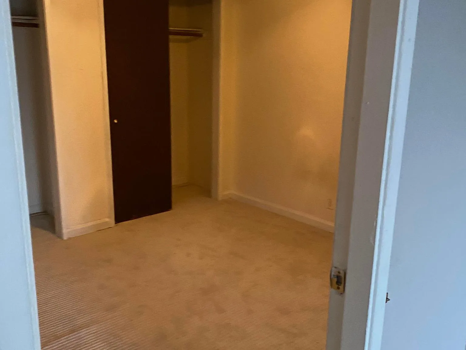 2 bed, 950 sqft, $1,350 — Photo 1