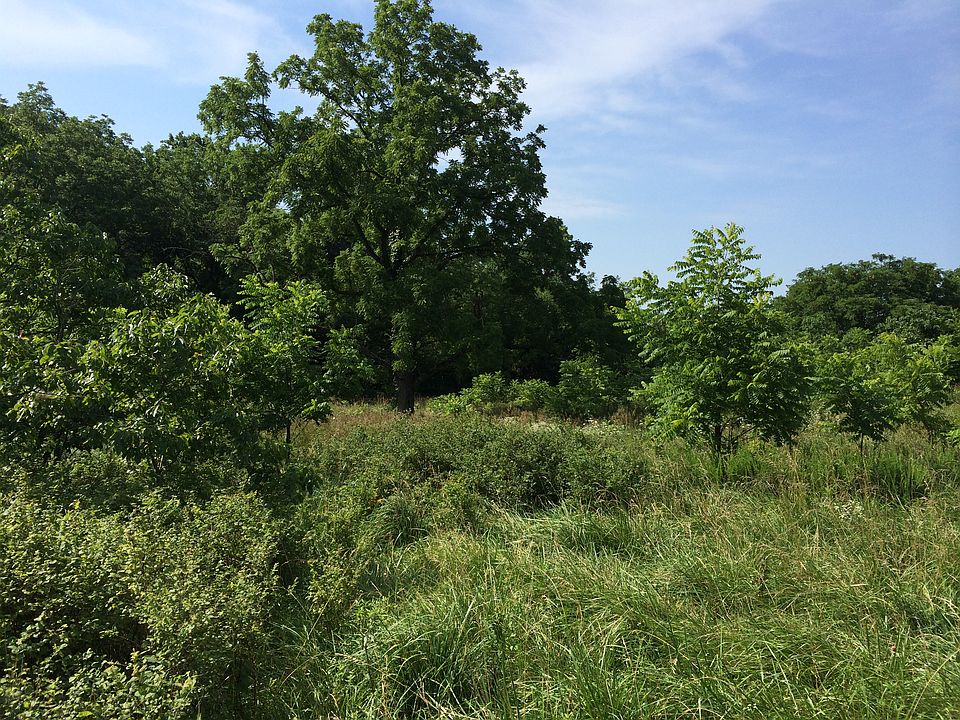 1st image of 40 Ac Fletcher Ridge