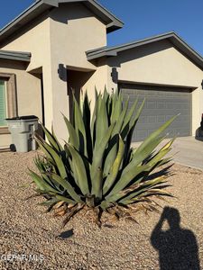 3460 David Palacio Dr, El Paso, TX, 79938