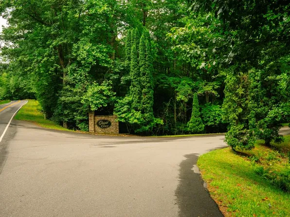 11 Quail Cove Cir, Warne, NC 28909
