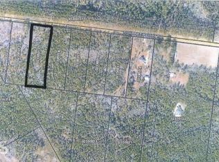 1993 Shawnee Egypt Rd, Springfield, GA 31329