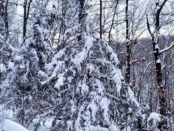 4th image of 00 Aspen Rd