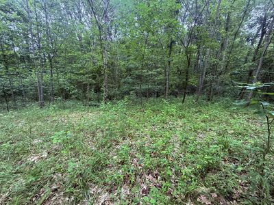 4103 S Rodehaver Rd, Guysville, OH, 45735