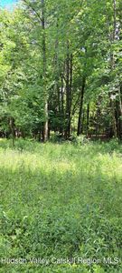 Tbd Ulster Heights Road, Wawarsing, NY, 12489