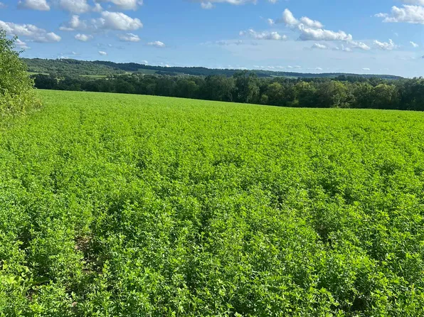 Rush Creek Rd, Stockton, IL 61085