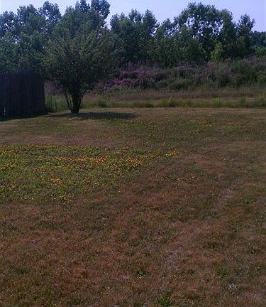 4th image of 4314 Sky Lane Dr