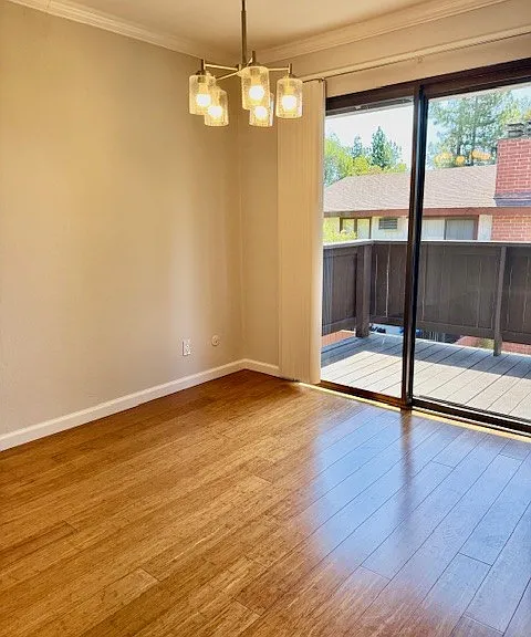 313 Camelback Rd #8 — Photo 4