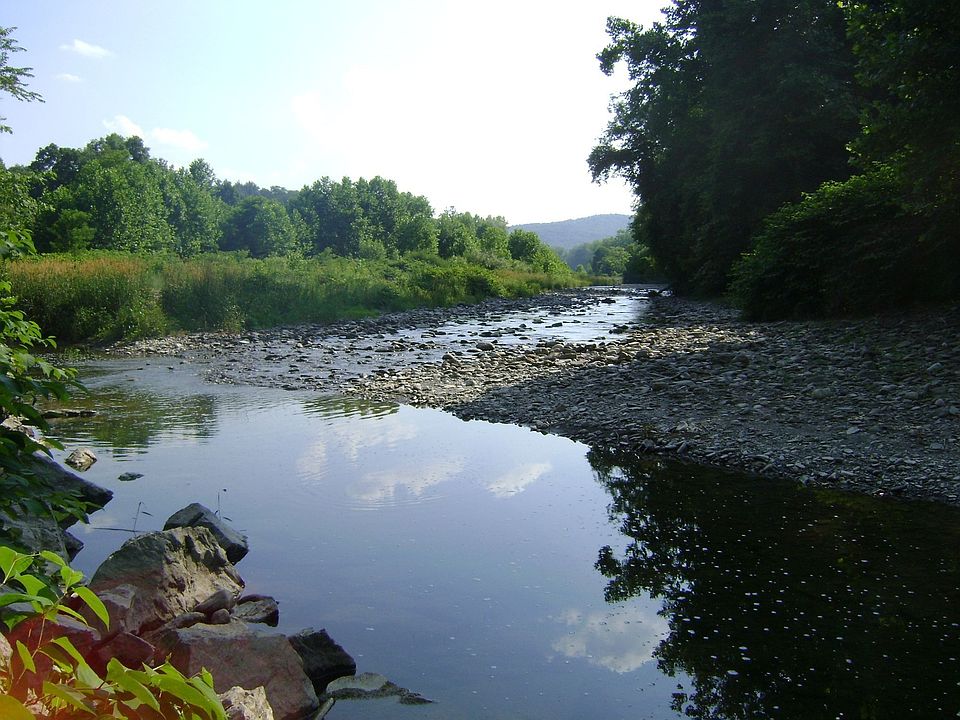 Seeley Creek upstream