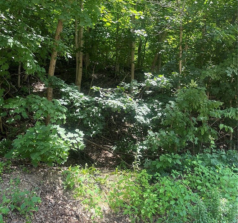 2nd image of 0 Thoms Run Rd
