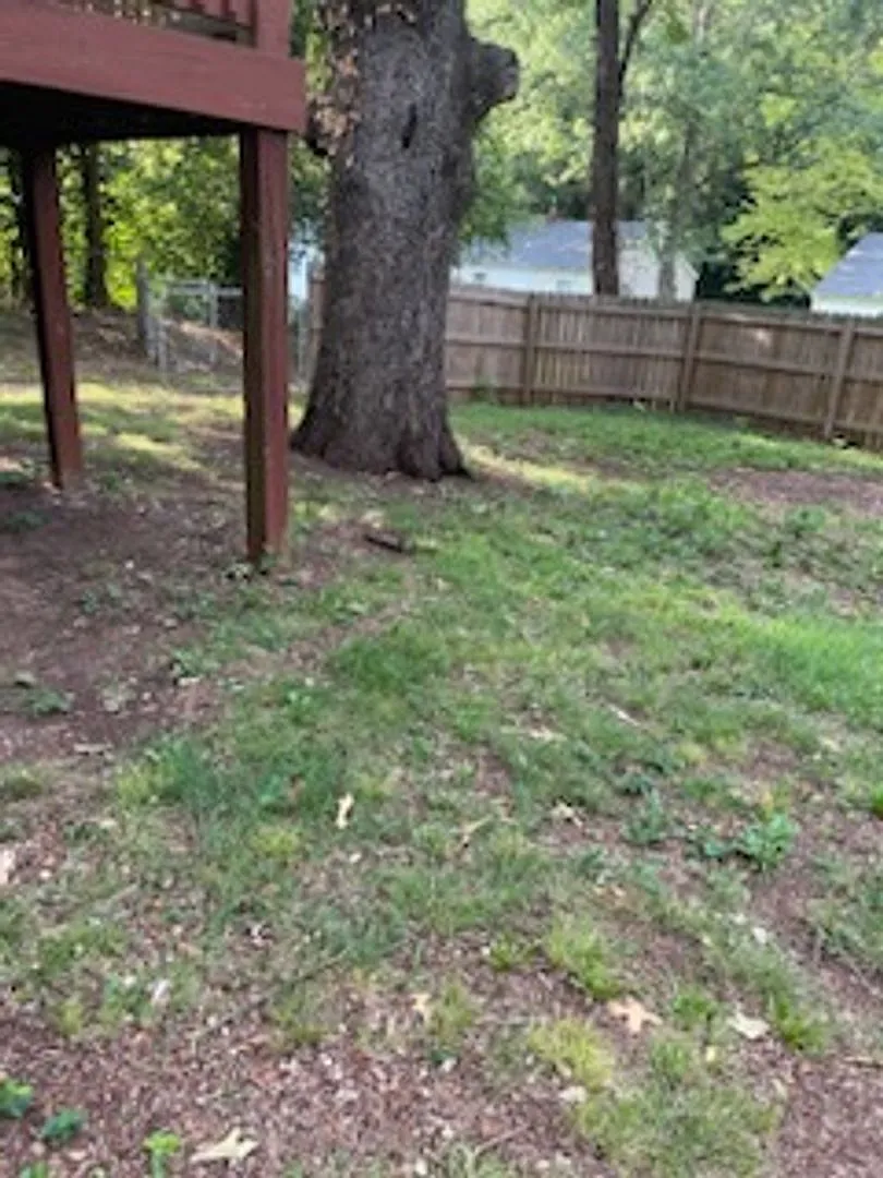 Coming soon 2 Bedroom 1 Bath House with Bonus Room — Photo 4