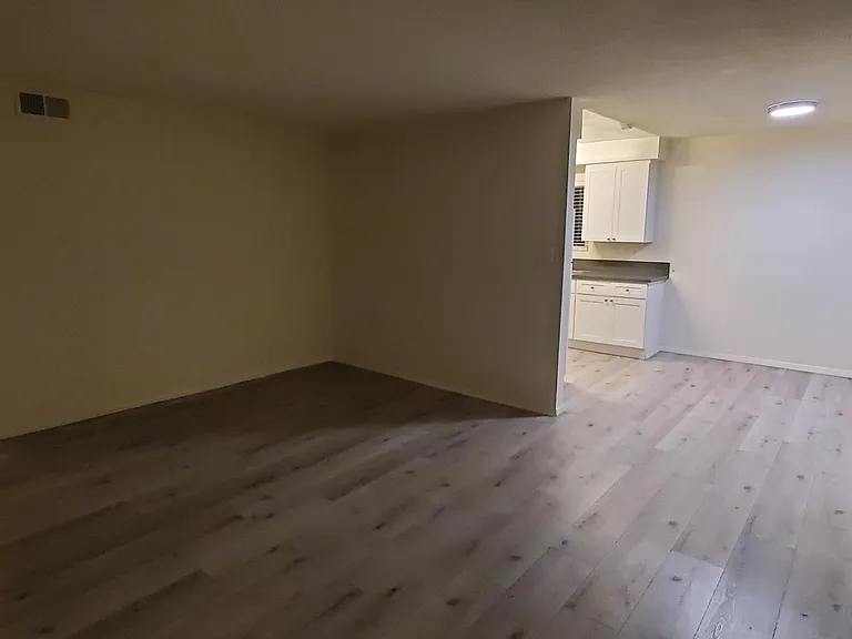 Living room and dining area