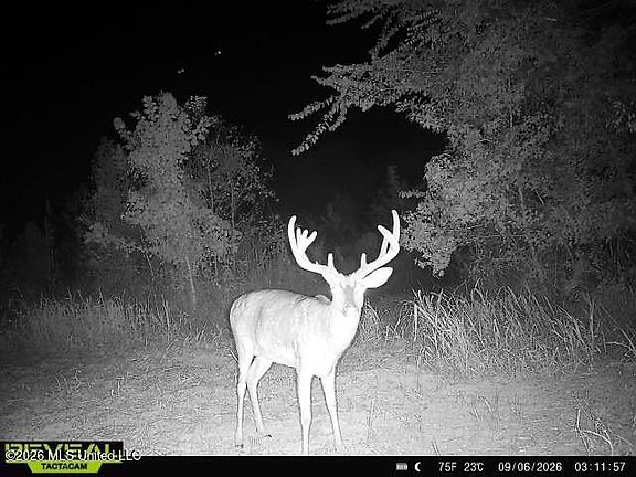 5th image of 4827 Newport Rd