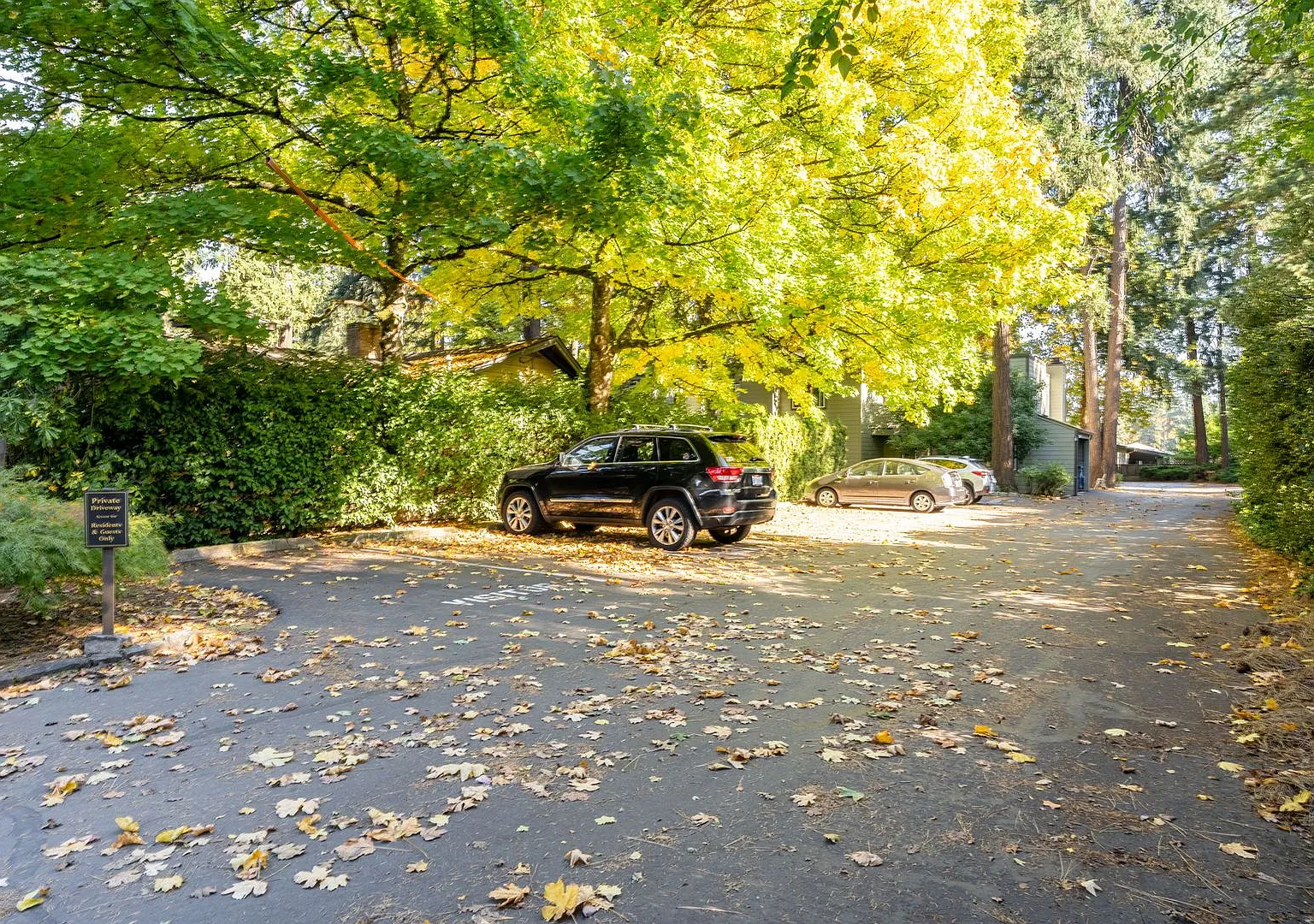 Lake Oswego Condo 2 Bed 1 Bath! — Photo 3
