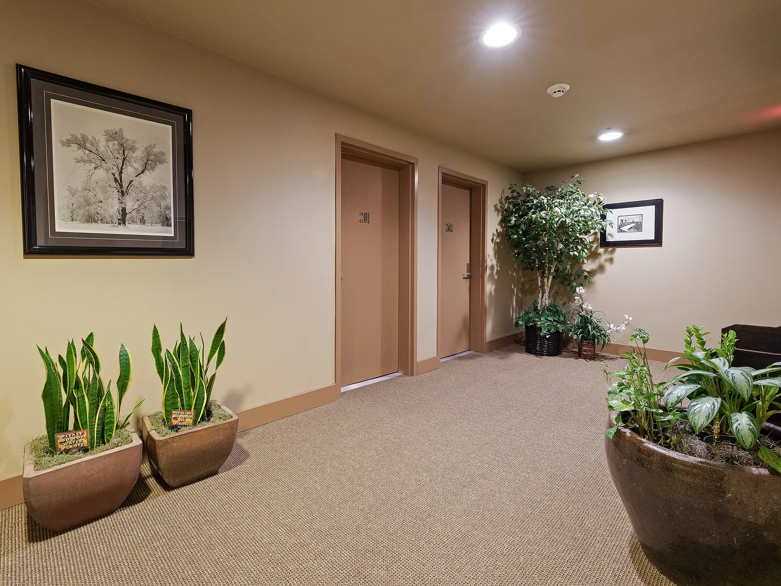 2 bed, 1062 sqft, $3,500 — Photo 3